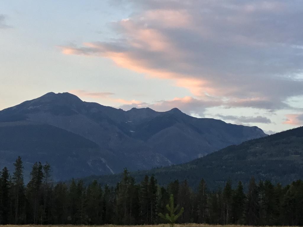 Rose Cottage Bed & Breakfast Valemount Exterior foto