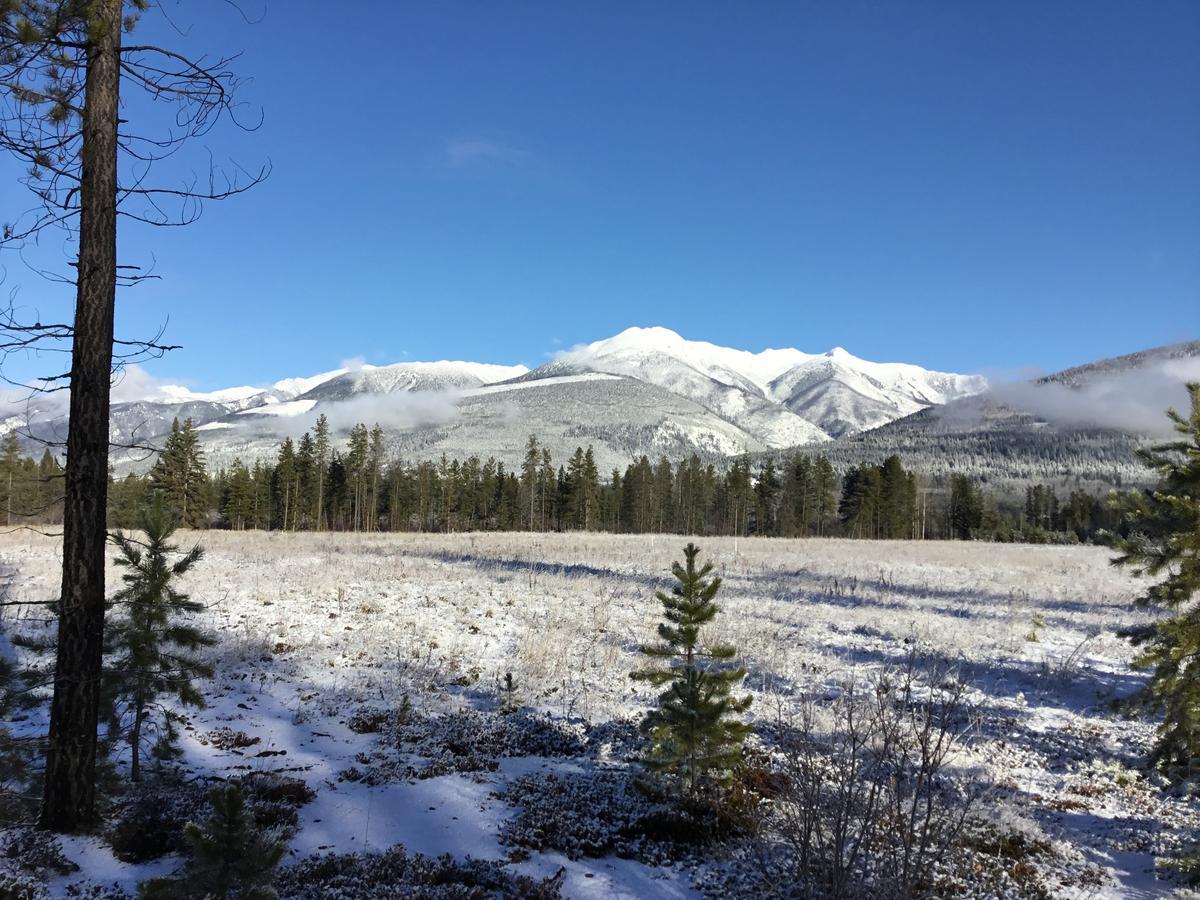 Rose Cottage Bed & Breakfast Valemount Exterior foto