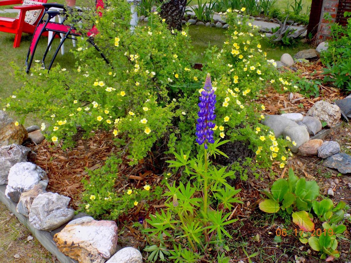 Rose Cottage Bed & Breakfast Valemount Exterior foto